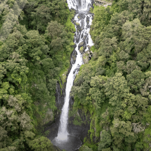 la cihua